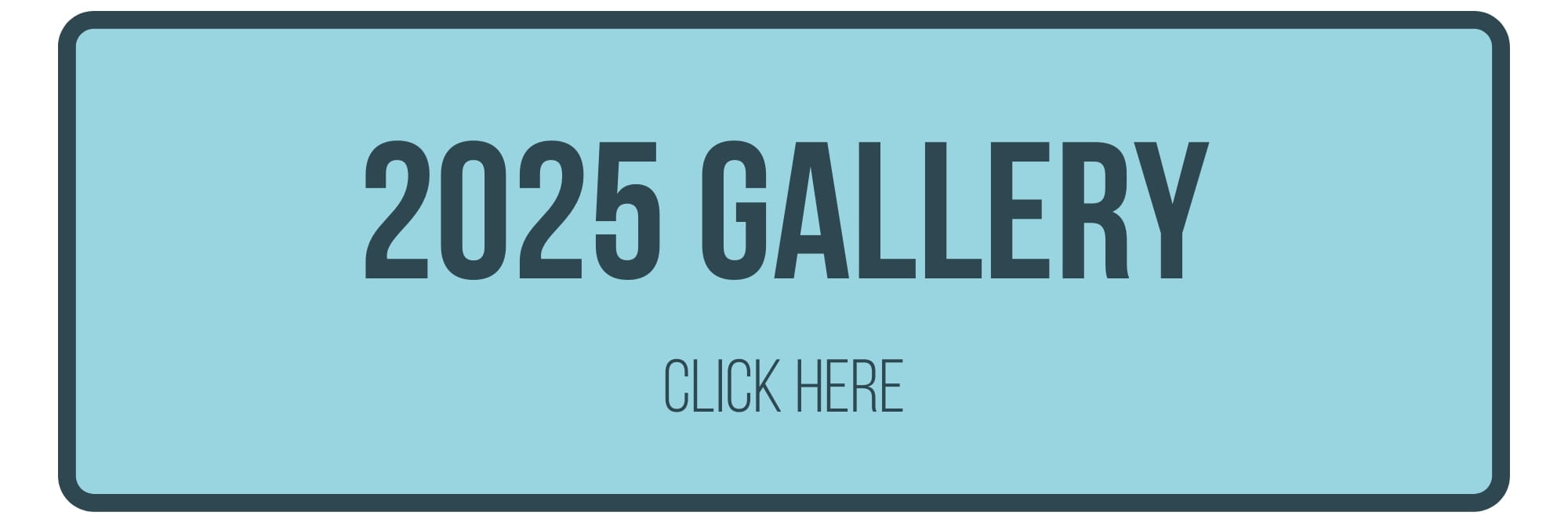 2025 Gallery - Newcastle Food Festival 